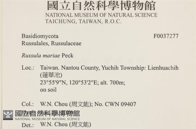 登錄號:F0037277藏品圖，第2張