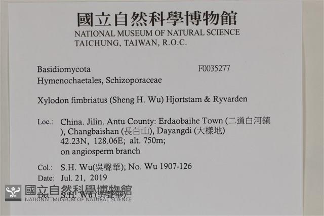 登錄號:F0035277藏品圖，第2張