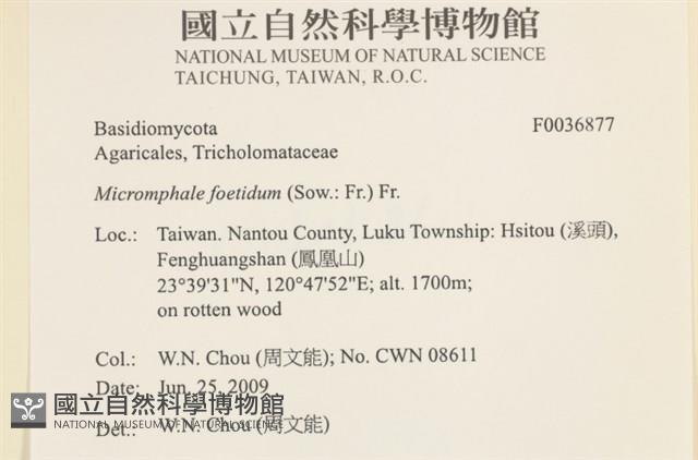 登錄號:F0036877藏品圖，第2張