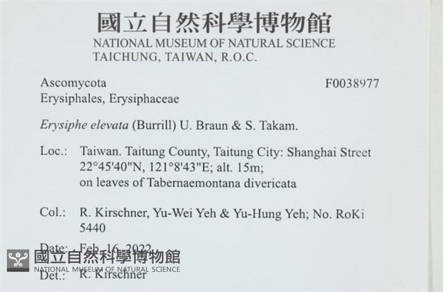 登錄號:F0038977藏品圖，第2張