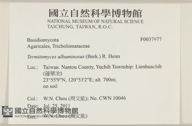 登錄號:F0037977藏品圖，第2張