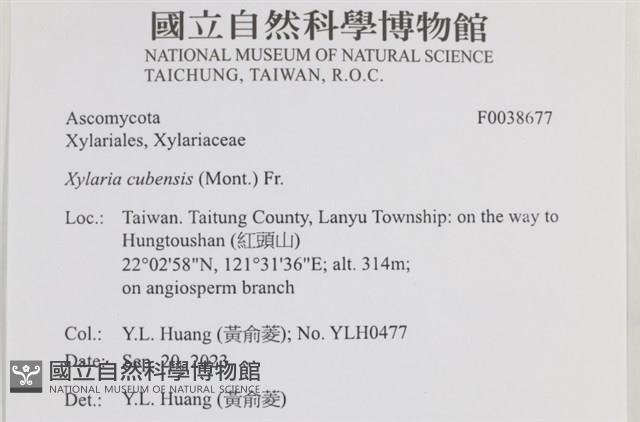 登錄號:F0038677藏品圖，第2張