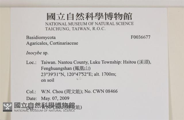 登錄號:F0036677藏品圖，第2張