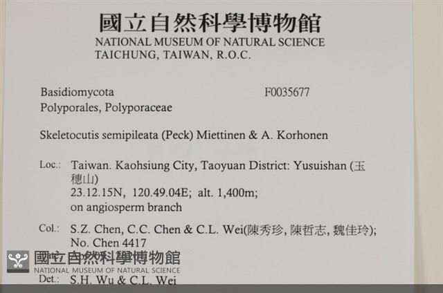 登錄號:F0035677藏品圖，第2張
