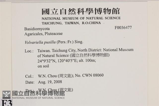 登錄號:F0036477藏品圖，第2張