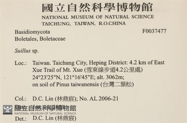 登錄號:F0037477藏品圖，第2張
