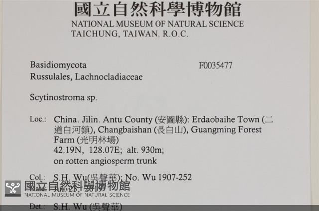 登錄號:F0035477藏品圖，第2張