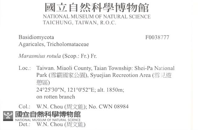 登錄號:F0038777藏品圖，第2張