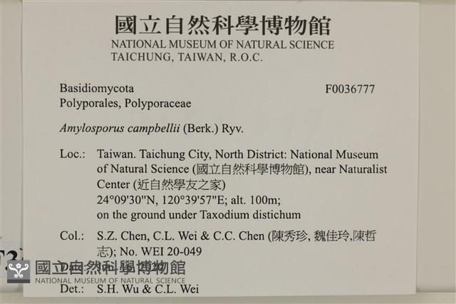 登錄號:F0036777藏品圖，第2張