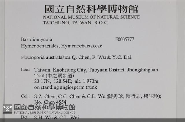 登錄號:F0035777藏品圖，第2張