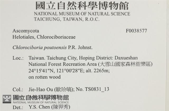 登錄號:F0038577藏品圖，第2張