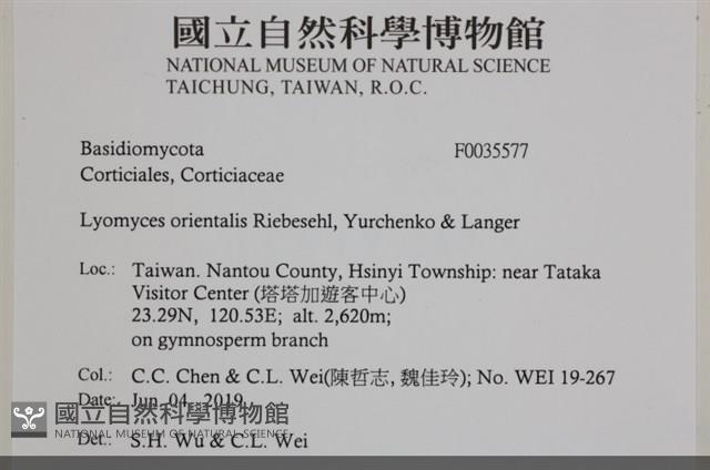 登錄號:F0035577藏品圖，第2張