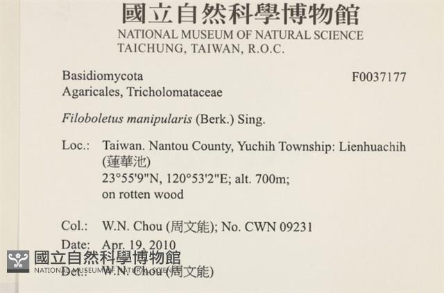 登錄號:F0037177藏品圖，第2張
