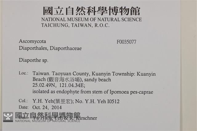 登錄號:F0035077藏品圖，第2張