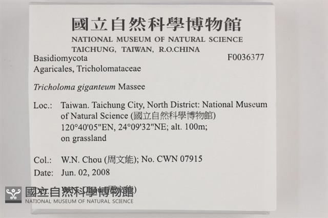 登錄號:F0036377藏品圖，第2張