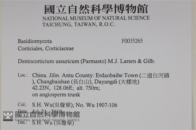 登錄號:F0035265藏品圖，第2張