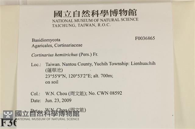 登錄號:F0036865藏品圖，第2張