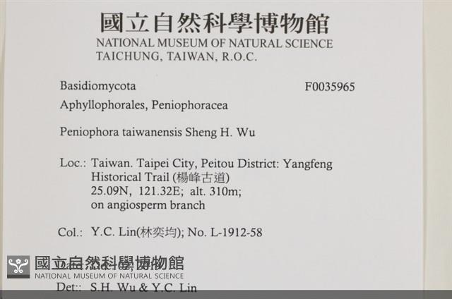 登錄號:F0035965藏品圖，第2張