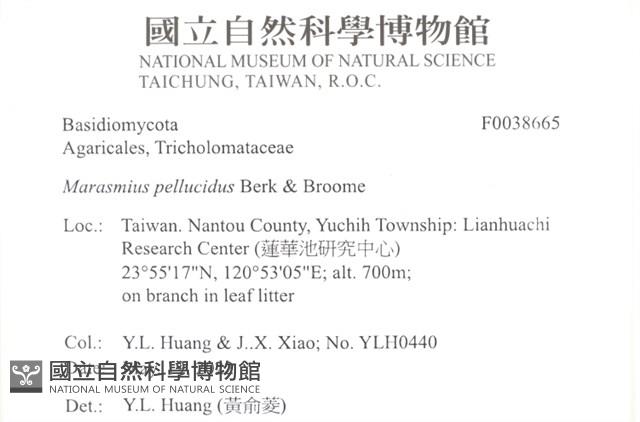 登錄號:F0038665藏品圖，第2張