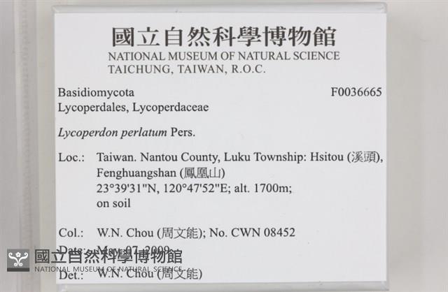 登錄號:F0036665藏品圖，第2張