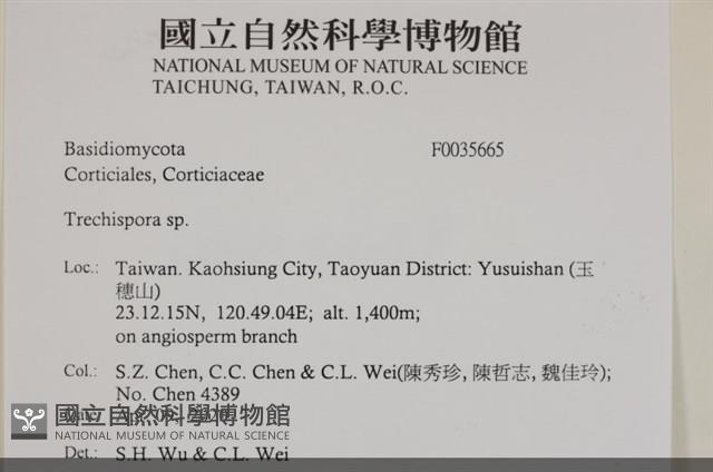 登錄號:F0035665藏品圖，第3張