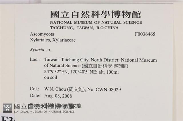 Accession Number:F0036465 Collection Image, Figure 2, Total 2 Figures