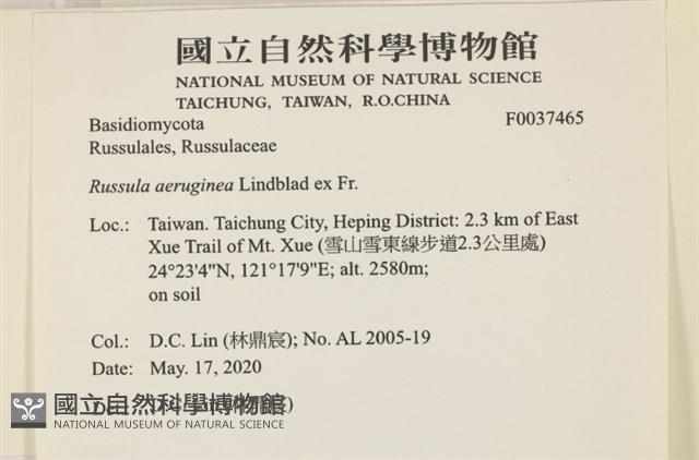 登錄號:F0037465藏品圖，第2張