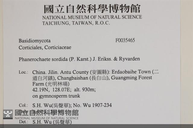 登錄號:F0035465藏品圖，第2張