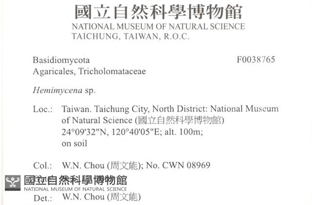 登錄號:F0038765藏品圖，第2張