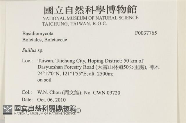 登錄號:F0037765藏品圖，第2張