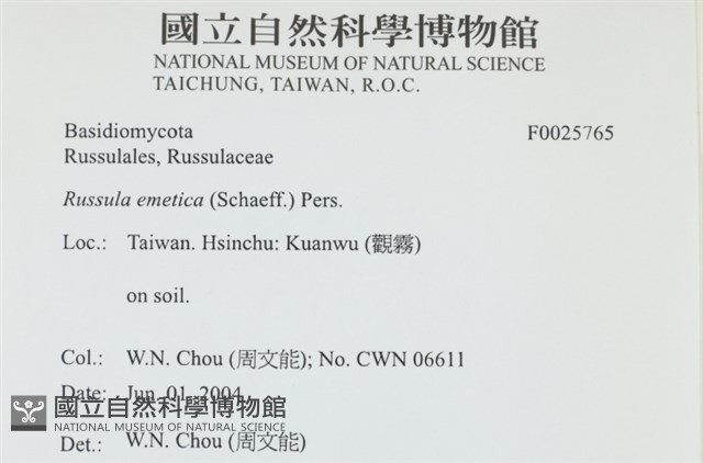 登錄號:F0025765藏品圖，第4張