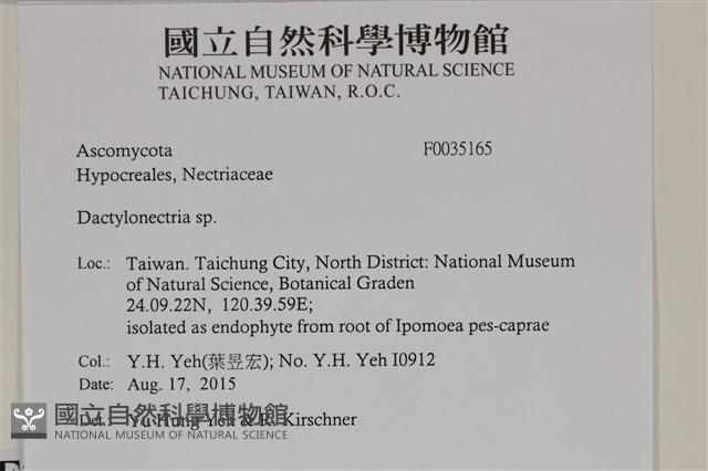 登錄號:F0035165藏品圖，第2張