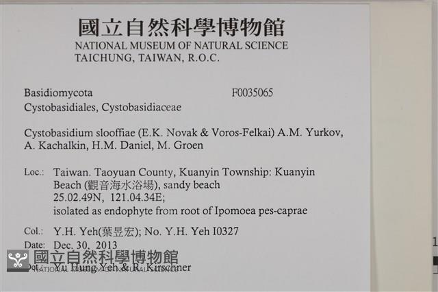 登錄號:F0035065藏品圖，第2張