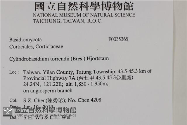 登錄號:F0035365藏品圖，第2張