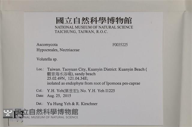 登錄號:F0035225藏品圖，第2張