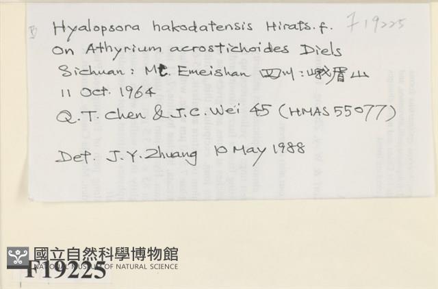 登錄號:F0019225藏品圖，第2張