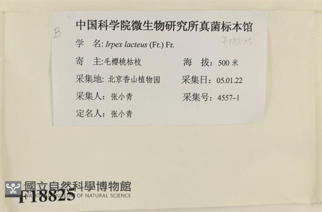 登錄號:F0018825藏品圖，第2張