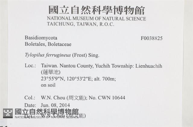 登錄號:F0038825藏品圖，第2張