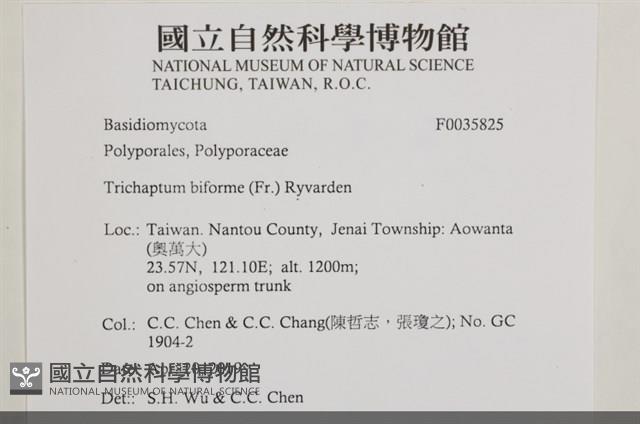 登錄號:F0035825藏品圖，第2張