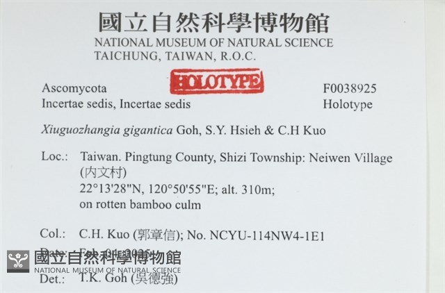 登錄號:F0038925藏品圖，第2張
