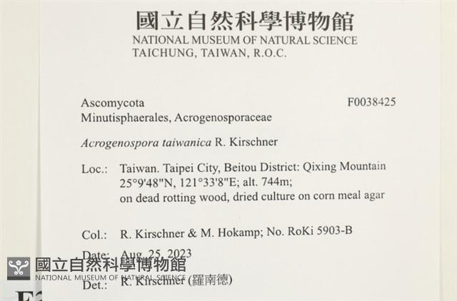 登錄號:F0038425藏品圖，第2張