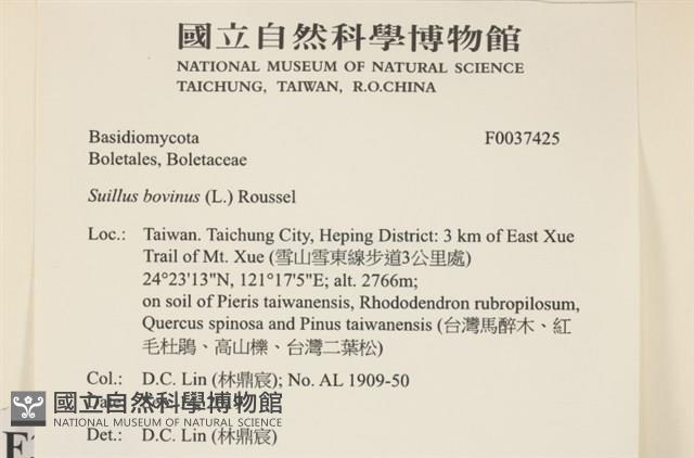登錄號:F0037425藏品圖，第2張