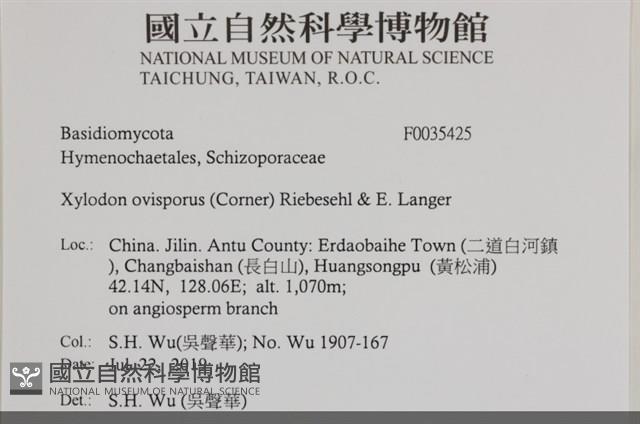 登錄號:F0035425藏品圖，第2張