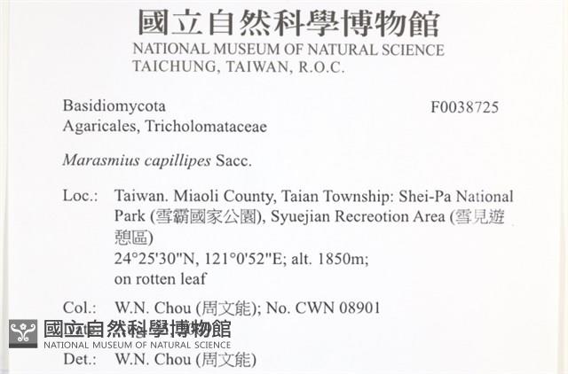 登錄號:F0038725藏品圖，第2張