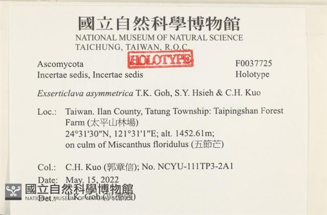 登錄號:F0037725藏品圖，第2張