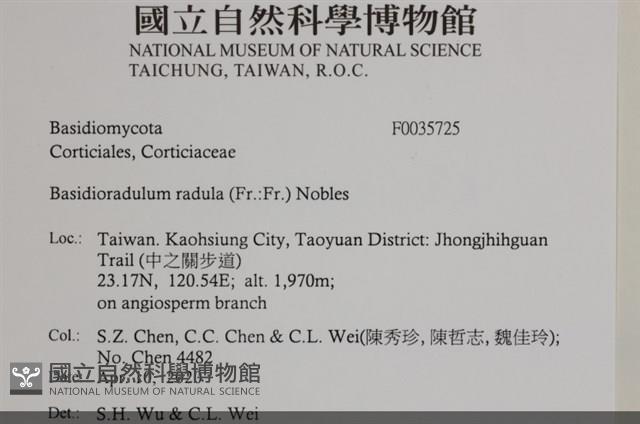 登錄號:F0035725藏品圖，第2張