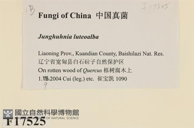 登錄號:F0017525藏品圖，第2張
