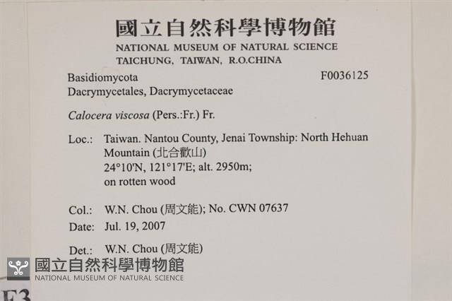 登錄號:F0036125藏品圖，第2張