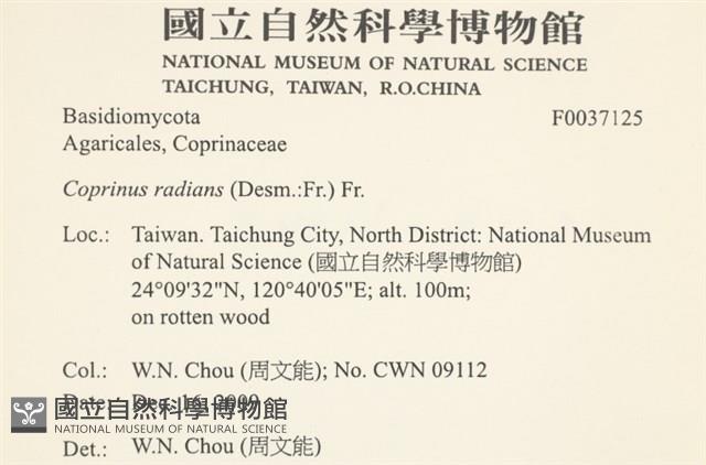 登錄號:F0037125藏品圖，第2張