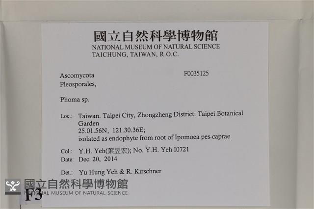 登錄號:F0035125藏品圖，第2張